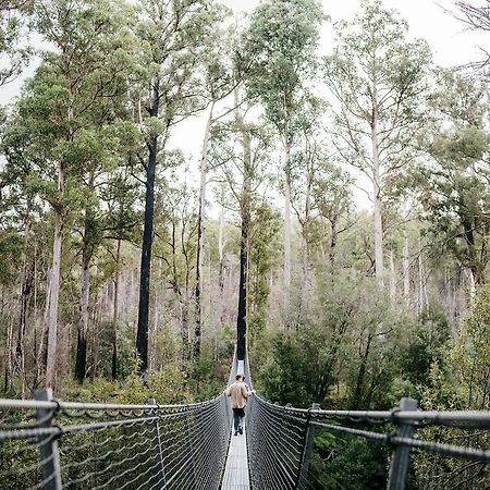 Tahune Airwalk Cabin And Lodge Geeveston Экстерьер фото